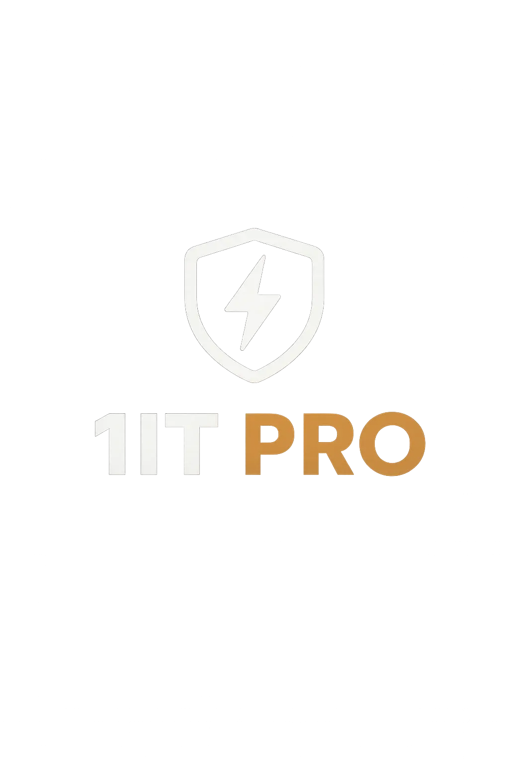 admin.1it.pro